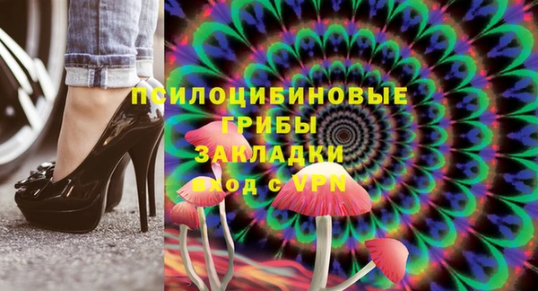 ГАЛЛЮЦИНОГЕННЫЕ ГРИБЫ Навашино