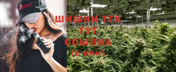 ГАЛЛЮЦИНОГЕННЫЕ ГРИБЫ Навашино